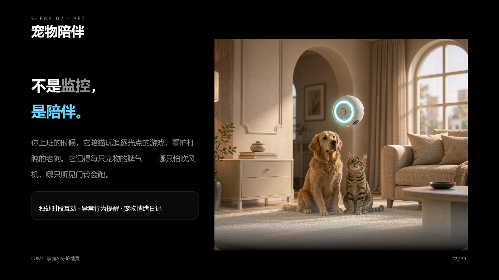 LUMI宠物陪伴概念场景